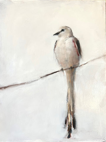 Scissor-tailed Flycatcher 2