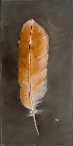 Hawk Feather 2