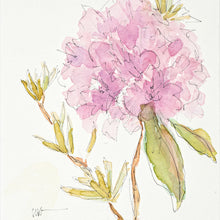 Rhododendron Watercolor