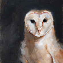 Barn Owl