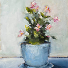 Begonias