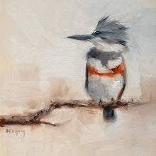Belted Kingfisher