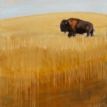 Bison