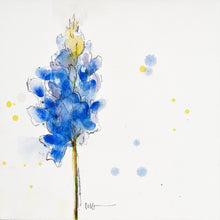 Bluebonnet