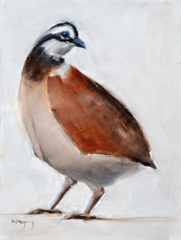 Bob White Quail