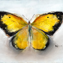 Butterfly yellow
