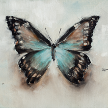 Butterfly Study 1