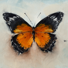 Butterfly Study 3