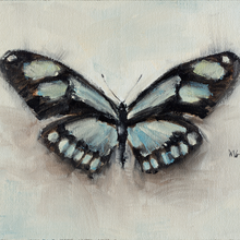 Butterfly Study 4