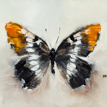 Butterfly Study 5
