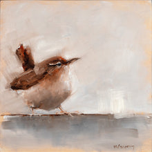 Carolina Wren 2