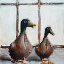 Ducks