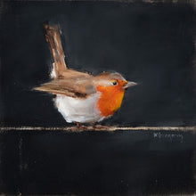 English Robin