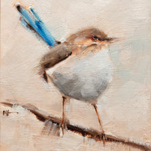 Fairy Wren