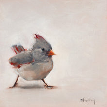 Cardinal Female
