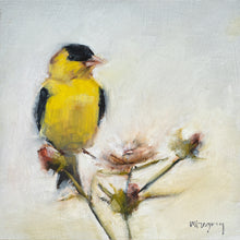 Yellow and Green Bird
