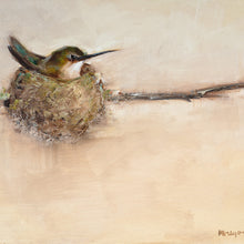 Hummingbird in Nest