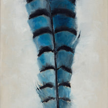 Feather: Blue Jay