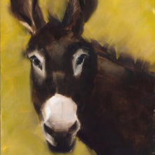 Jenny O