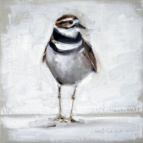 Killdeer