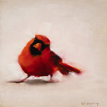 Cardinal Male