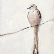 Scissor-tailed Flycatcher