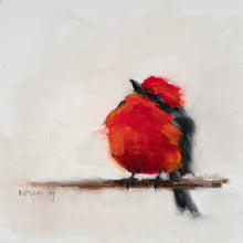 Vermillion Flycatcher