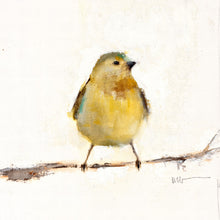 Yellow and Green Bird