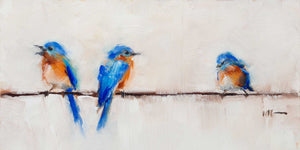 Bluebird Trio: Long Rectangle