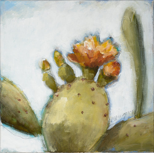 Blooming Prickly Pear 1