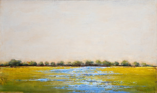 Bluebonnet Field