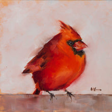 Cardinal: Male