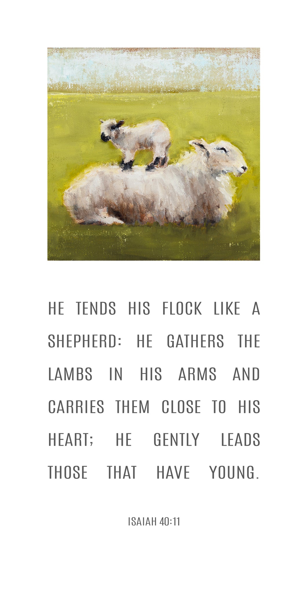 Ewe and Me - Isaiah 40:11