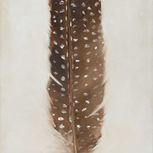 Feather: Brown Guinea