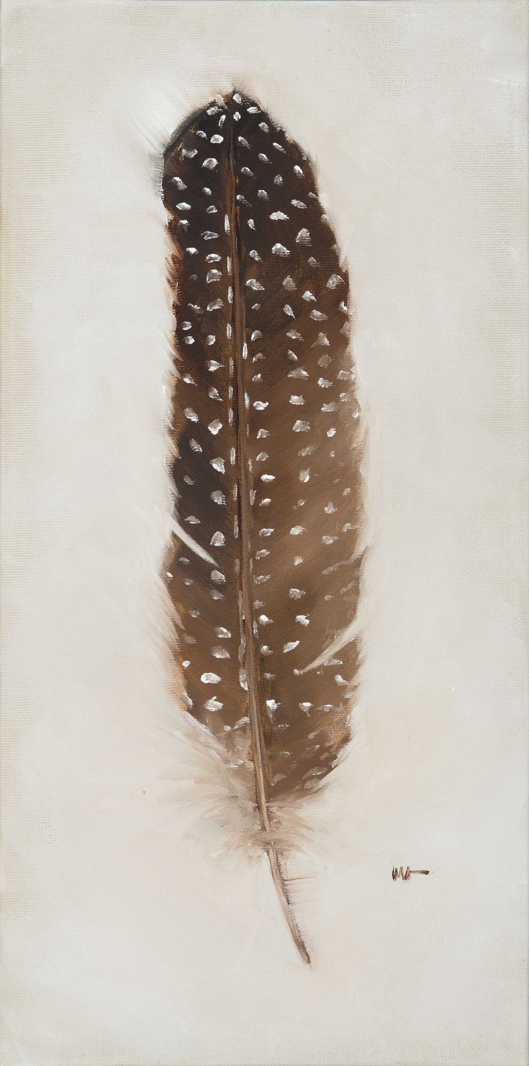 Feather: Brown Guinea