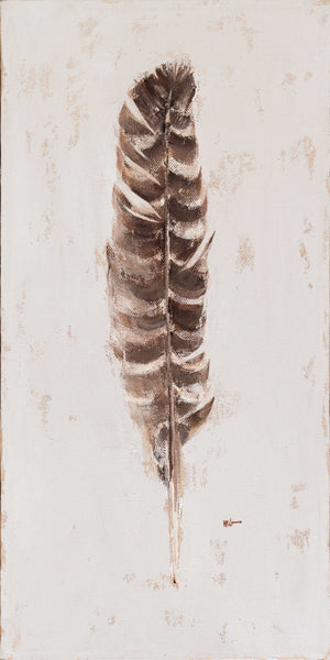 Feather: Striped