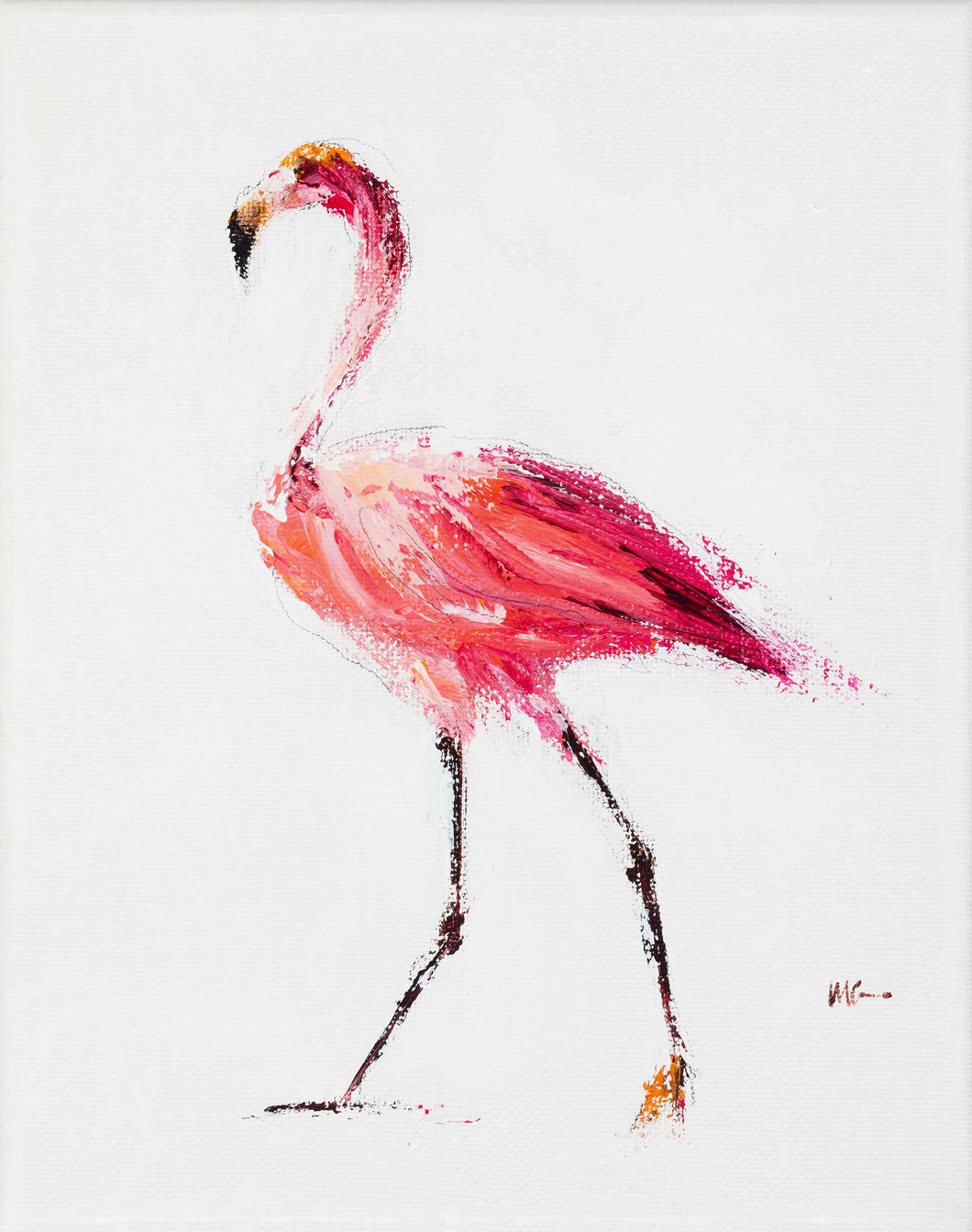 Flamingo