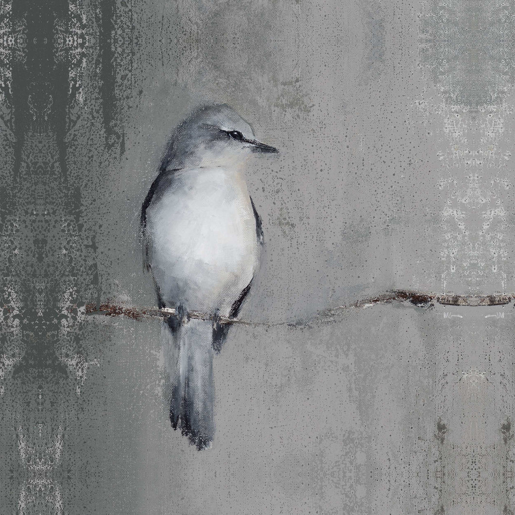 Grey White Bird