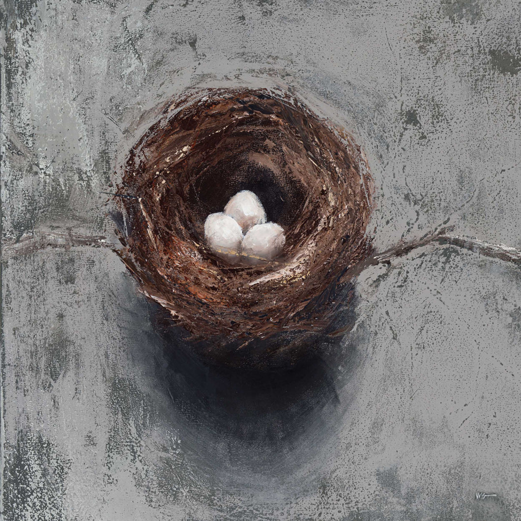 Grey White Nest