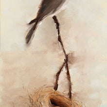 Grey Bird And Nest