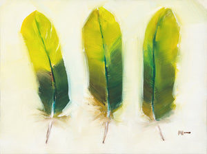Green Feathers