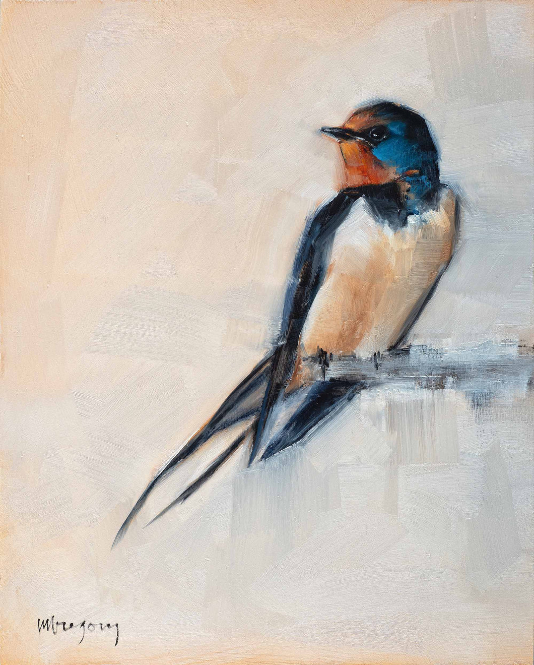 Barn Swallow