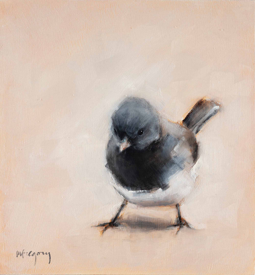 Junco