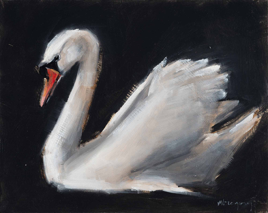 Swan