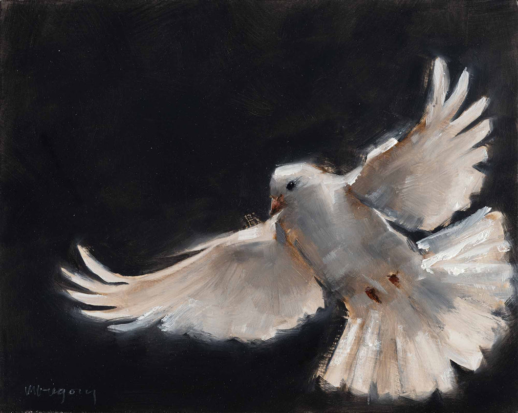 White Dove