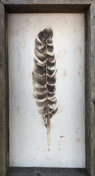 Turkey Feather