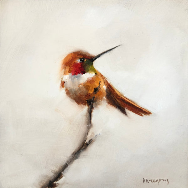 Wings at My Window: Rufous Hummingbird