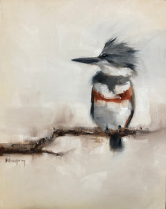Wings at My Window: Belted Kingfisher