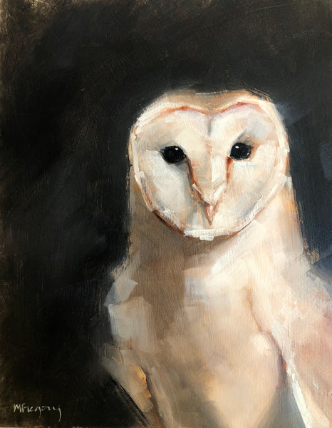 Wings at My Window: Barn Owl