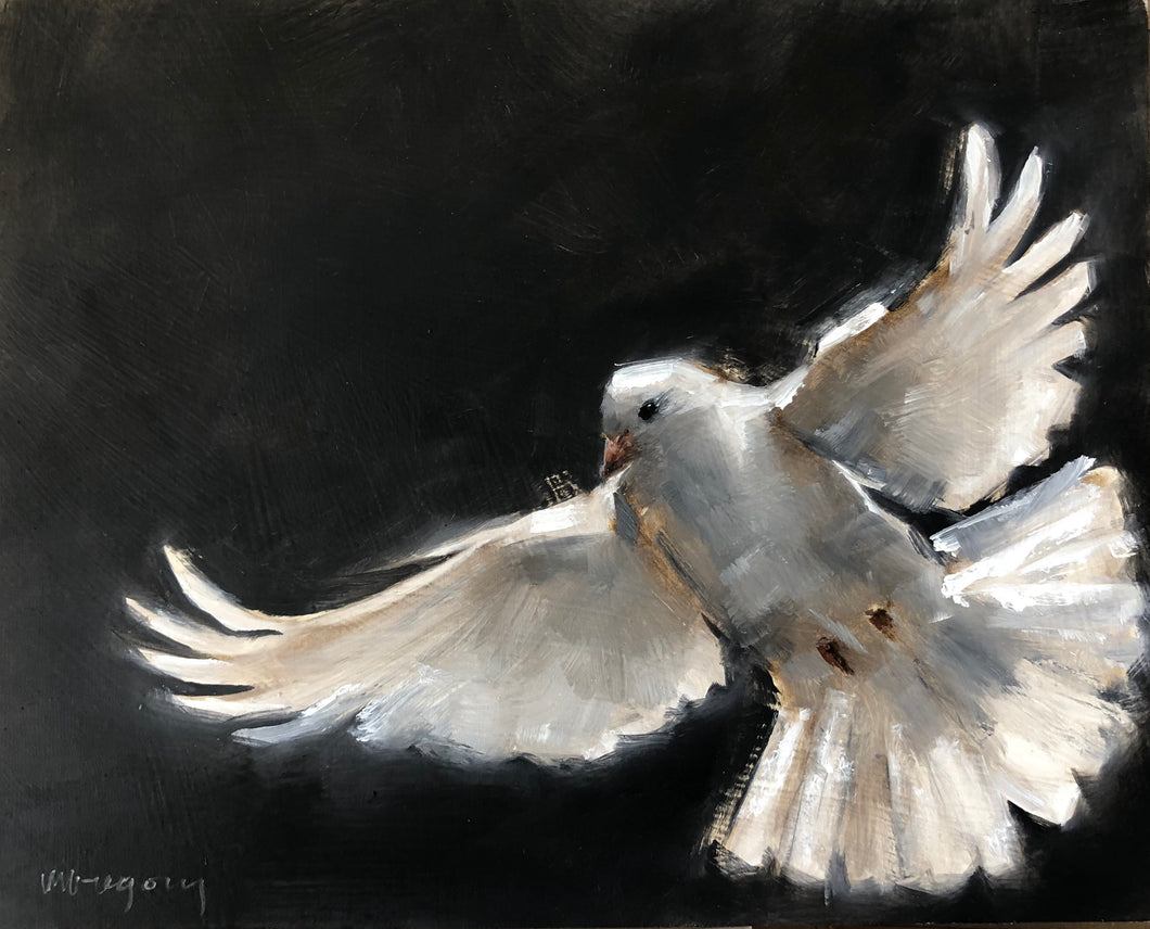 Wings at My Window: White Dove